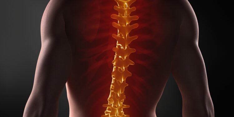 Dez práticas para uma coluna saudável em 2020 - Dr. Alexandre Elias