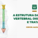 Capa podcast Hora da Coluna - 03 a estrutura da coluna vertebral disfunções e tratamentos - setembro - 2020 - Dr. Alexandre Elias